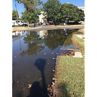 Norfolk high tide image